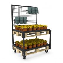 Europallet display