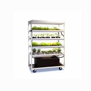 Vertical Farming